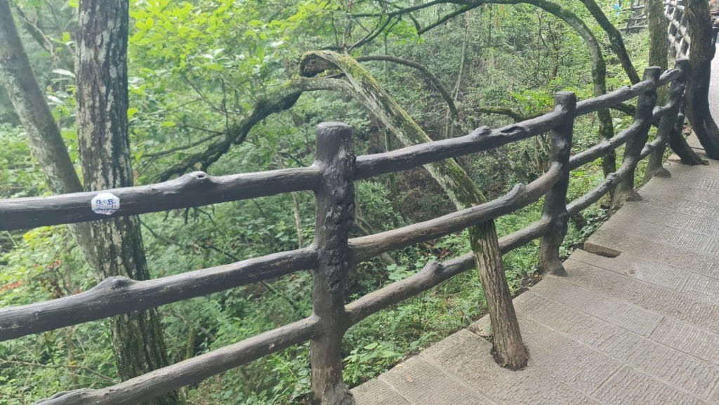 Holzzaun entlang eines Waldpfades