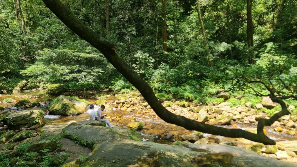 Personen sitzen im Wald am Bach