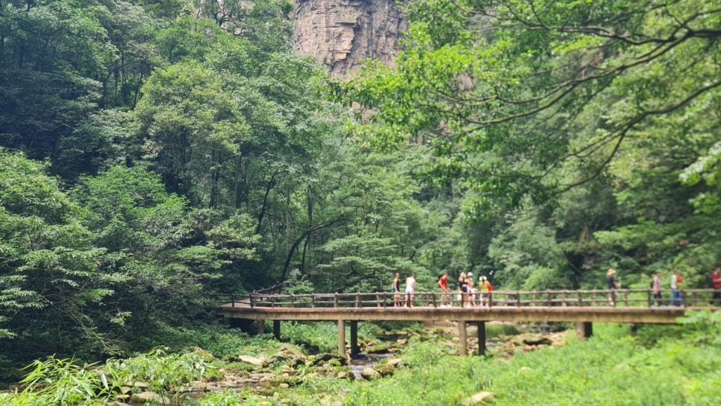 Personen auf Brücke im grünen Wald